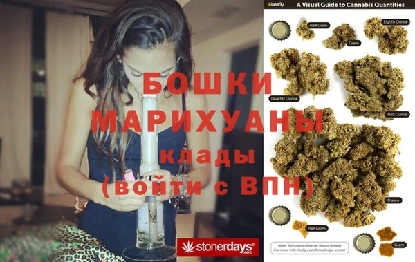 PSILOCYBIN Бронницы