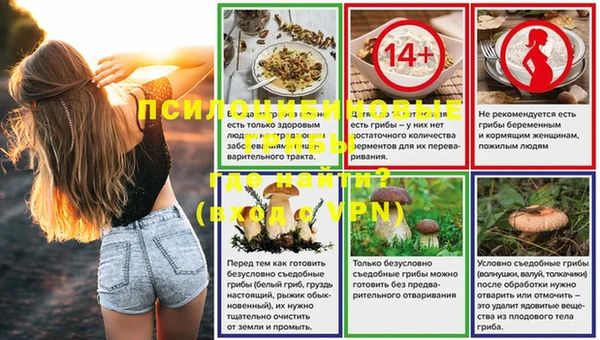 jwh Богородск