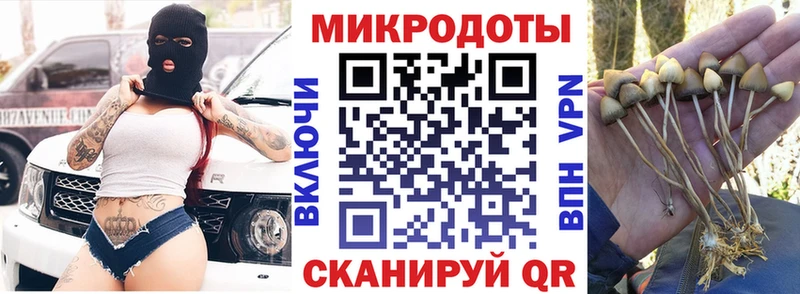 Галлюциногенные грибы Psilocybe Купить где Очёр